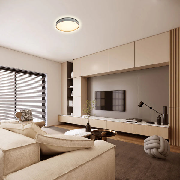 Elegant Contemporary Flush Mount LED Ceiling Light