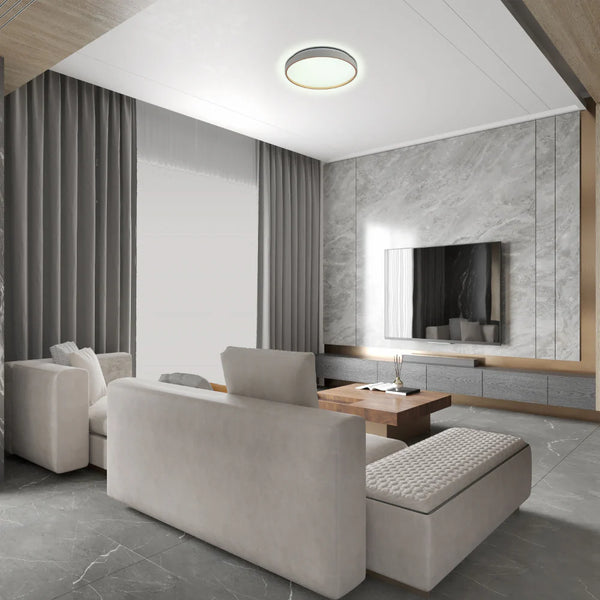 Elegant Contemporary Flush Mount LED Ceiling Light