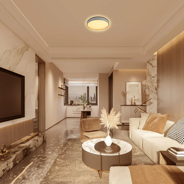 Elegant Contemporary Flush Mount LED Ceiling Light