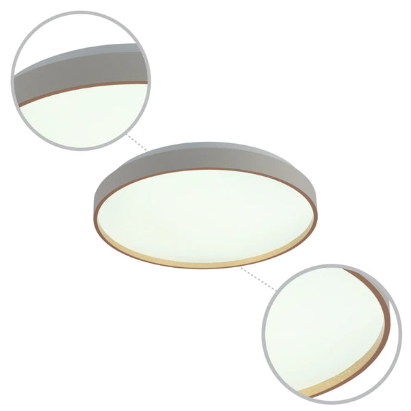 Elegant Contemporary Flush Mount LED Ceiling Light