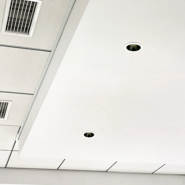 Elite Adjustable COB LED Downlight 10W