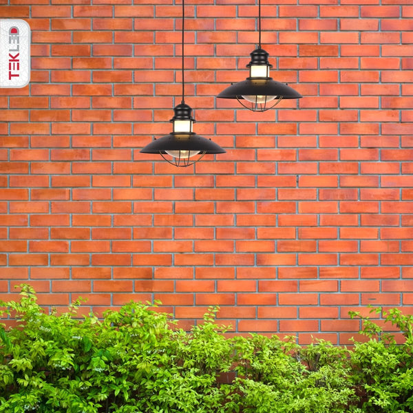 Sunflower Pendant Ceiling Light Lamp Matt Black Clear Glass E27