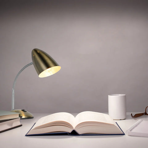 Flex Neck Metal Desk Lamp