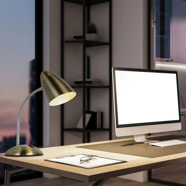 Flex Neck Metal Desk Lamp