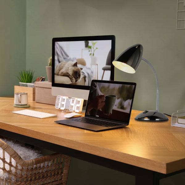 Flex Neck Metal Desk Lamp