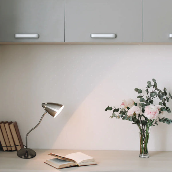 Flex Neck Metal Desk Lamp