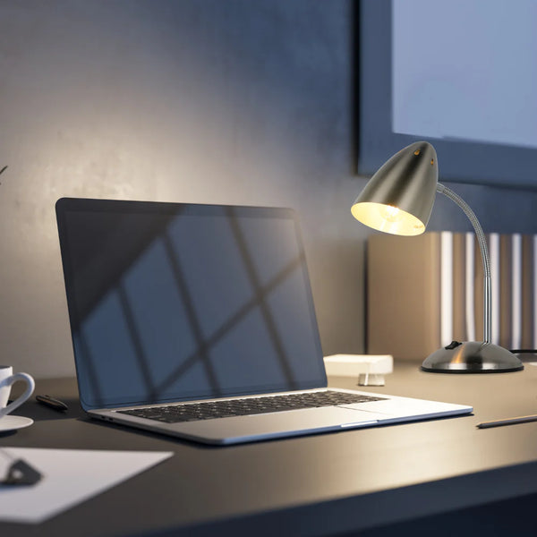 Flex Neck Metal Desk Lamp