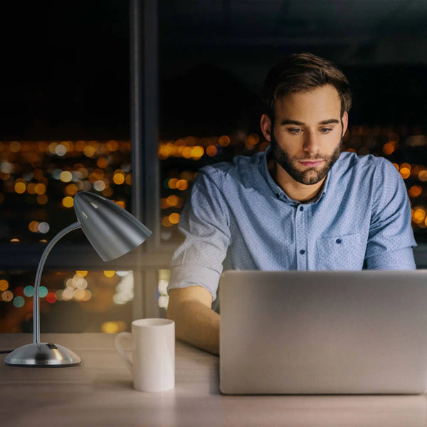 Flex Neck Metal Desk Lamp