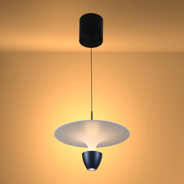 Fountain LED Pendant Light 8W