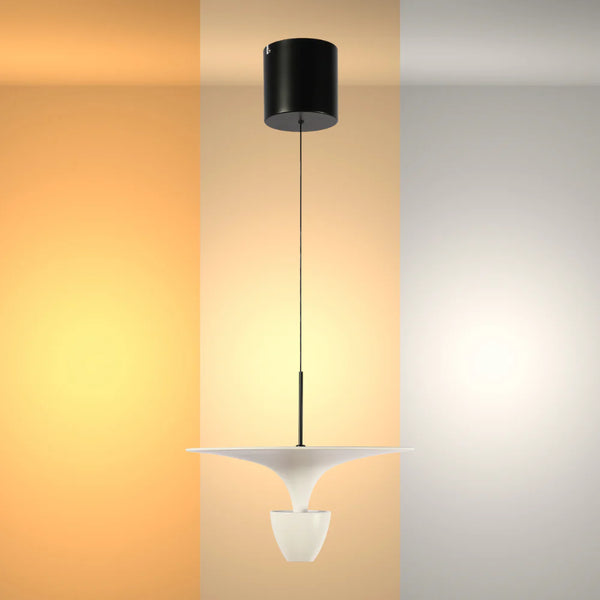 Fountain LED Pendant Light 8W