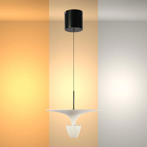 Fountain LED Pendant Light 8W