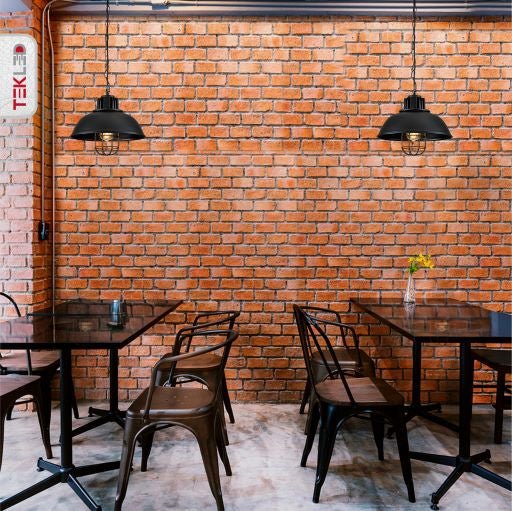 Black Dome Caged Industrial Metal Ceiling Pendant Light E27 Fitting