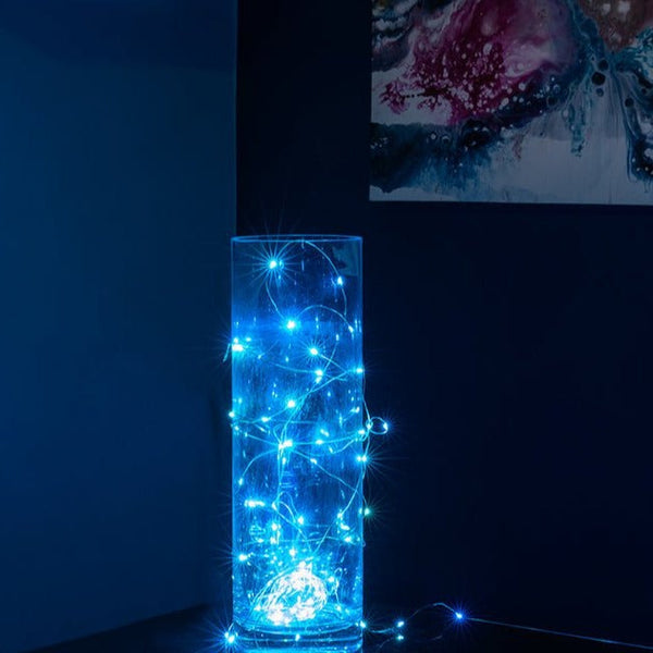 Aries RGB Micro-LED String Fairy Light with Power Adaptor & Remote Control