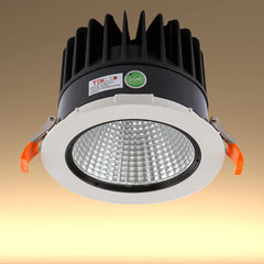 LED COB Recessed Fixed Downlight P1 30W Cool White 4000K White