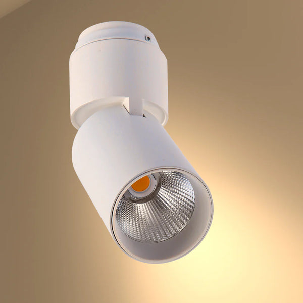 LED Surface-Recessed Tilt Rotatable Downlight Cool White 4000K