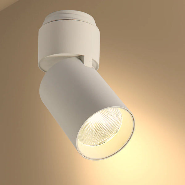 LED Surface-Recessed Tilt Rotatable Downlight Cool White 4000K