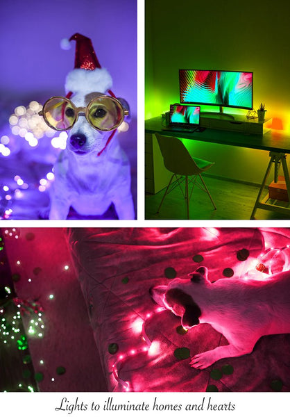 Holiday RGB LED Strip Light IP20 with Remote Controller