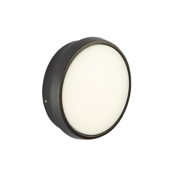 Black Ring Moonlight Outdoor Modern LED Wall Light