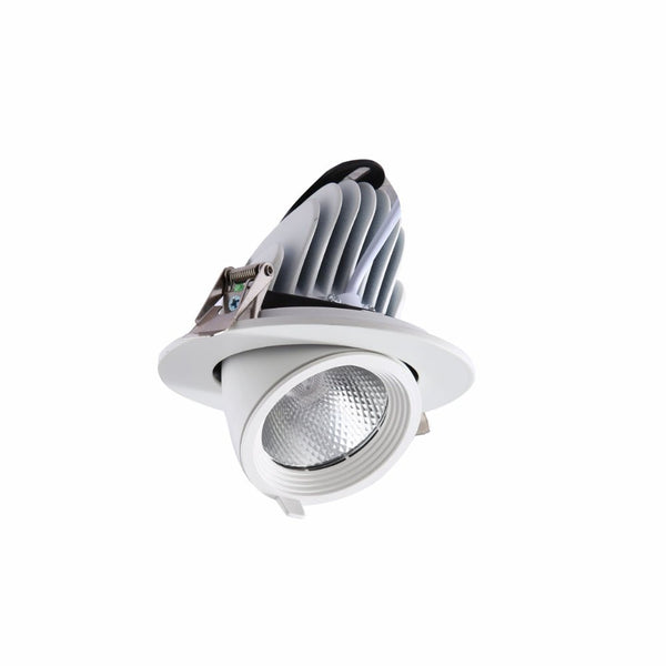 LED Accent Performance Swivel and Scoop Tilt Recessed Downlight CRI90 White