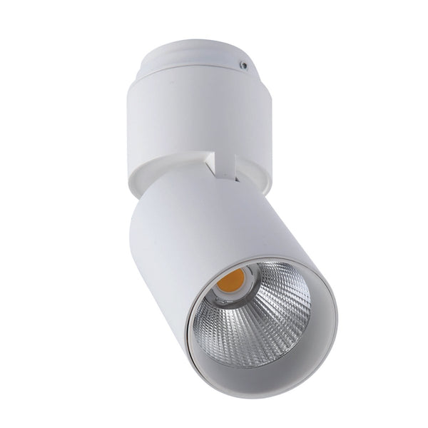 LED Surface-Recessed Tilt Rotatable Downlight Cool White 4000K