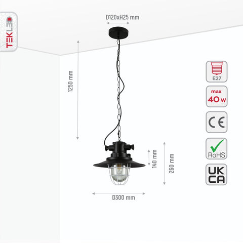 Black Nautical Industrial Caged Flat Shade Glass Metal Ceiling Pendant Light E27 Fitting