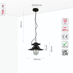 Black Nautical Industrial Caged Flat Shade Glass Metal Ceiling Pendant Light E27 Fitting