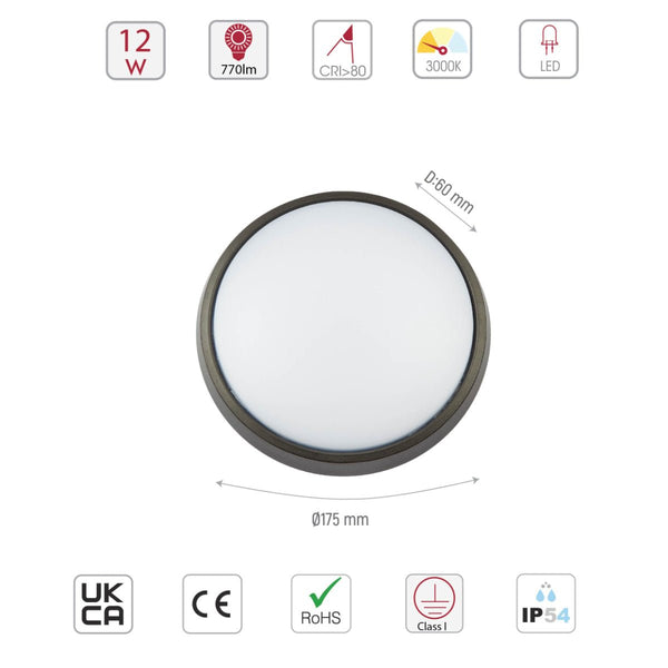 Black Ring Moonlight Outdoor Modern LED Wall Light