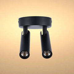 Modern Black & White 2-Light Spotlight