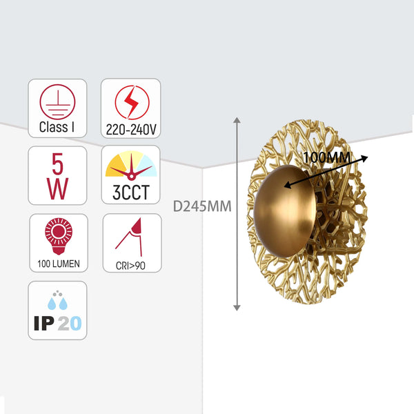 Decorative Round LED Wall Light - 5W, 3CCT, 270mm