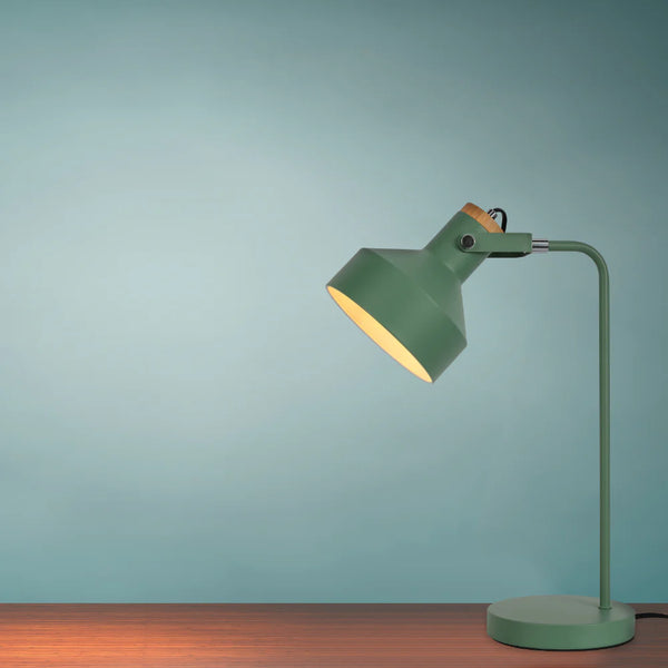 Modern Desk Lamp with Wooden Accent