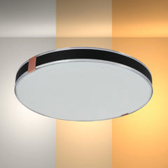 Modern Flush Ceiling Lights with Black Frame and Bronze/Copper Accents
