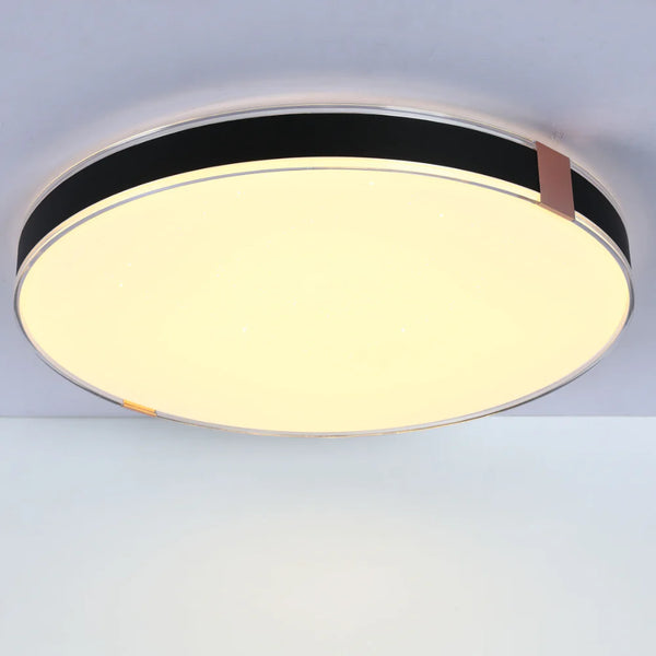 Modern Flush Ceiling Lights with Black Frame and Bronze/Copper Accents