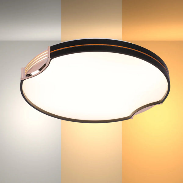 Modern Flush Ceiling Lights with Black Frame and Bronze/Copper Accents
