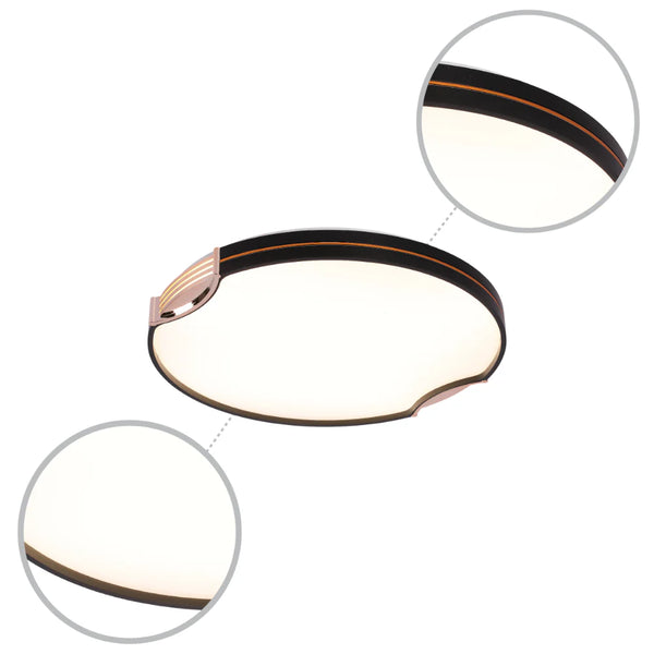 Modern Flush Ceiling Lights with Black Frame and Bronze/Copper Accents