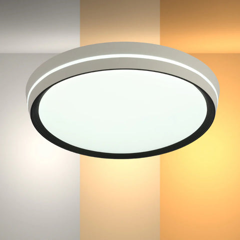 Modern Flush Mount Ceiling Light with Decorative Ring Accent
