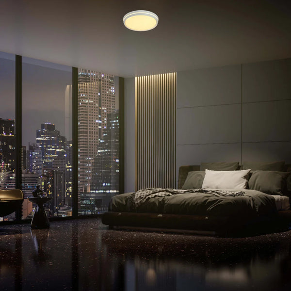 Modern Flush Mount Ceiling Light with Decorative Ring Accent