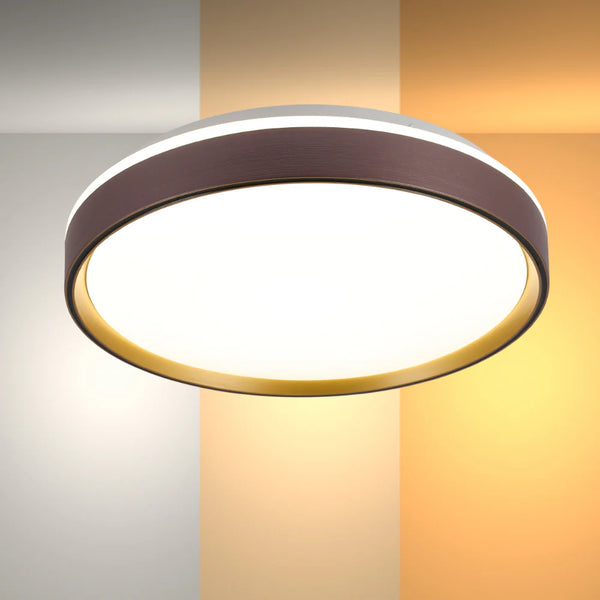 Modern Halo Effect LED Ceiling Light with Colour Contrast Design