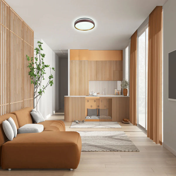 Modern Halo Effect LED Ceiling Light with Colour Contrast Design