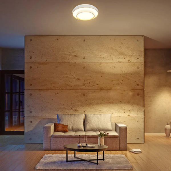 Modern Two-Layer LED Flush Mount Ceiling Light with Remote Control