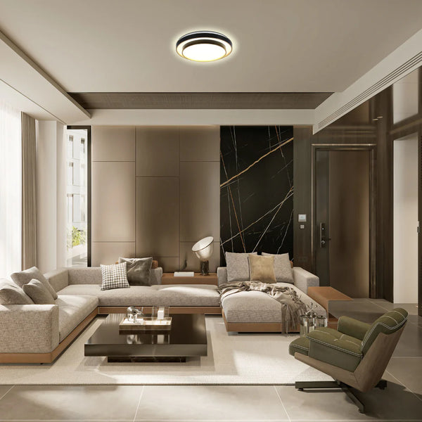 Modern Two-Layer LED Flush Mount Ceiling Light with Remote Control