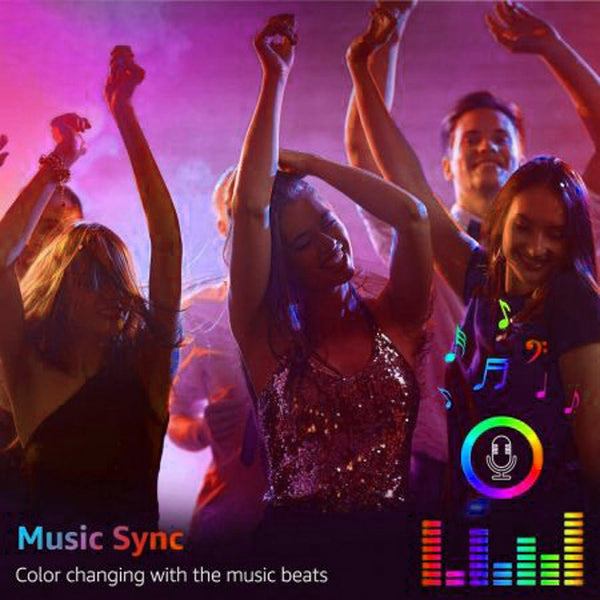 Holiday 5m Smart RGB LED Strip Light IP20 Wi-Fi Alexa Google Assistant Music with Remote Controller