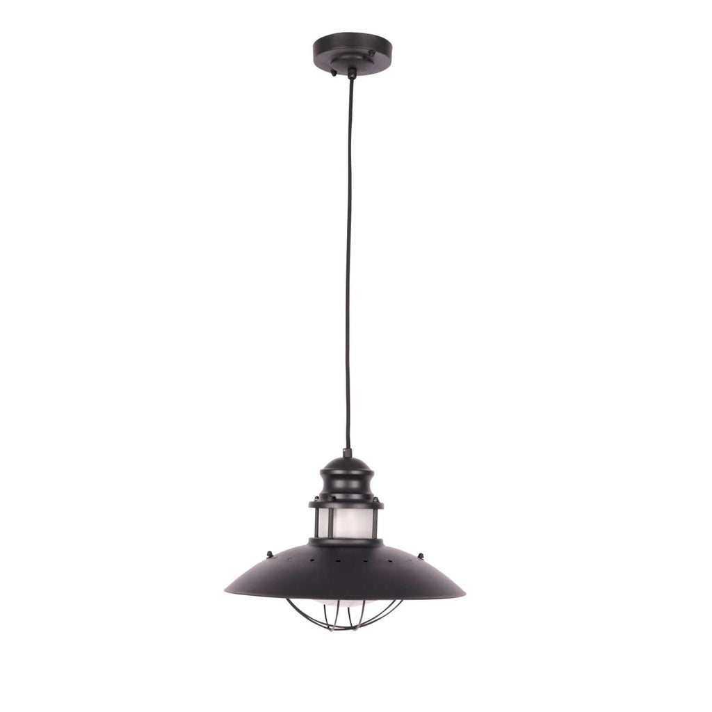 Sunflower Pendant Ceiling Light Lamp Matt Black Clear Glass E27
