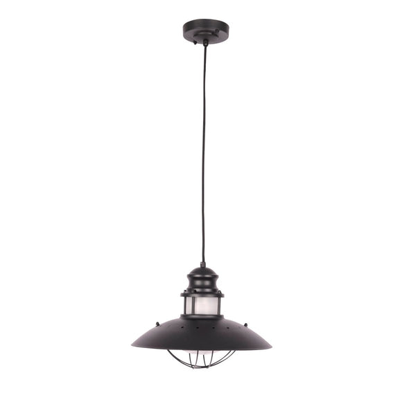 Sunflower Pendant Ceiling Light Lamp Matt Black Clear Glass E27
