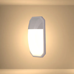 Plastic LED Outdoor Wall Light 15W