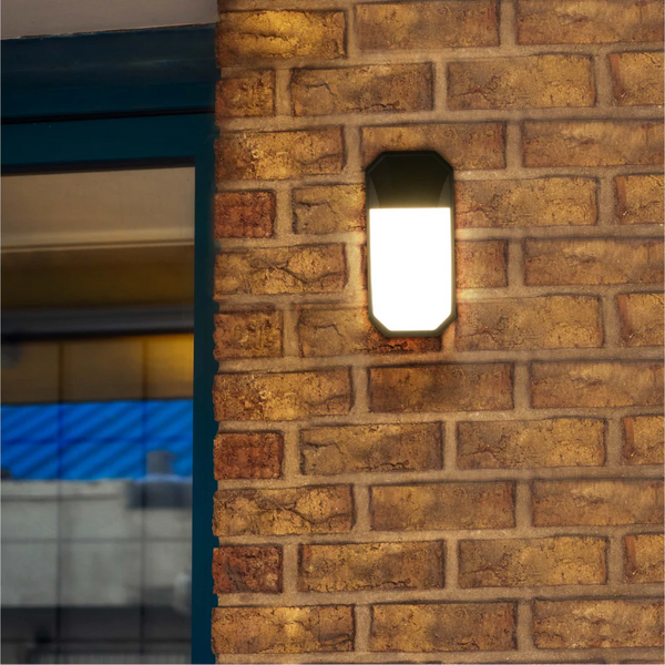Plastic LED Outdoor Wall Light 15W