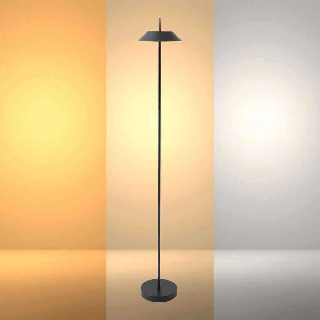 Portable LED Floor Lamp with Dimmable CCT - Sleek Design 131cm