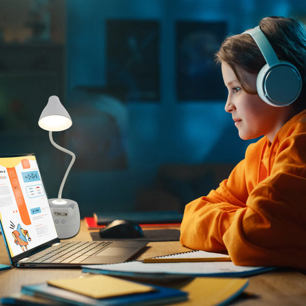 Rechargeable Gooseneck Desk Lamp with Cone Head and Pencil Holder