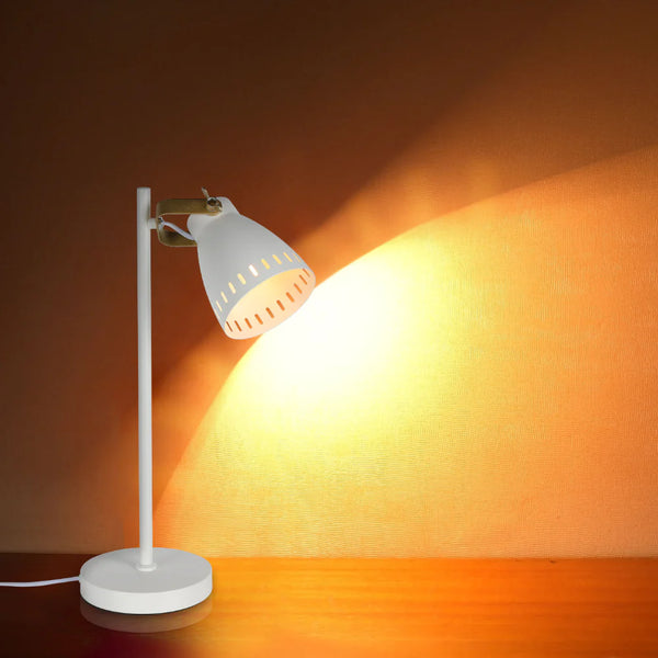 Retro Desk Lamp with Brass Accents
