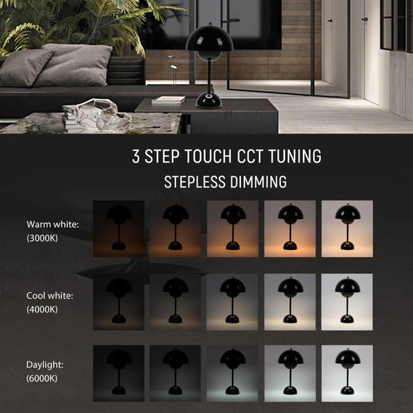 Spherical Harmony LED Table Lamp – Dual-Colour Elegance