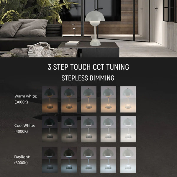 Spherical Harmony LED Table Lamp – Dual-Colour Elegance